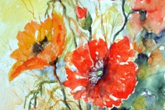 07-Mohn-in-Glasvase