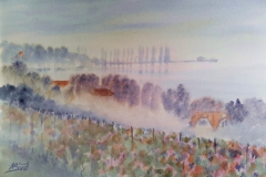 002.61-Nebellandschaft