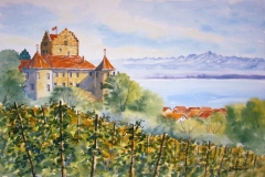 06-Meersburg und Wein