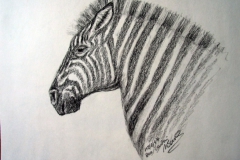 10-Zebra