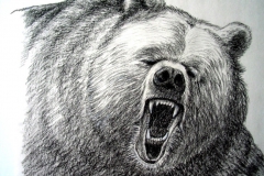 13-Grizzly-attack