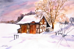 15-Winterlicher-Schopf-